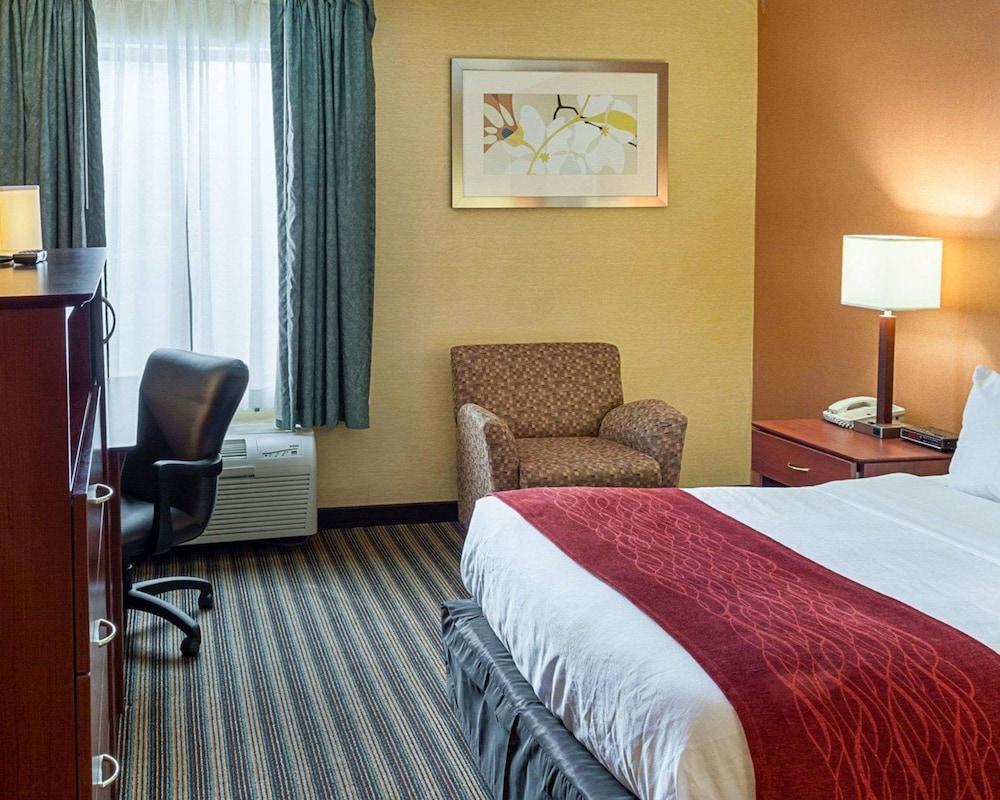 Comfort Inn Petersburg Near Fort Gregg-Adams מראה חיצוני תמונה
