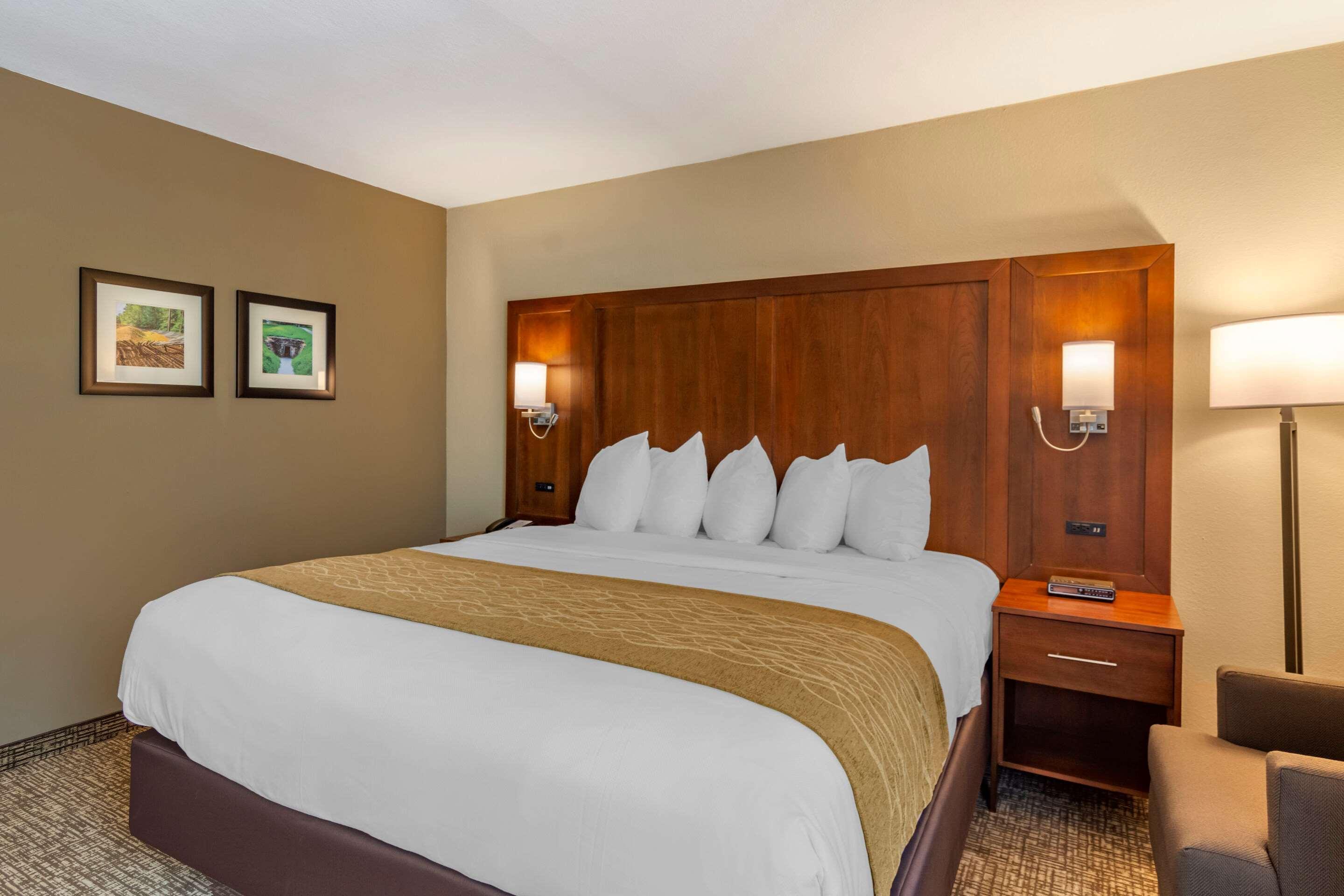 Comfort Inn Petersburg Near Fort Gregg-Adams מראה חיצוני תמונה