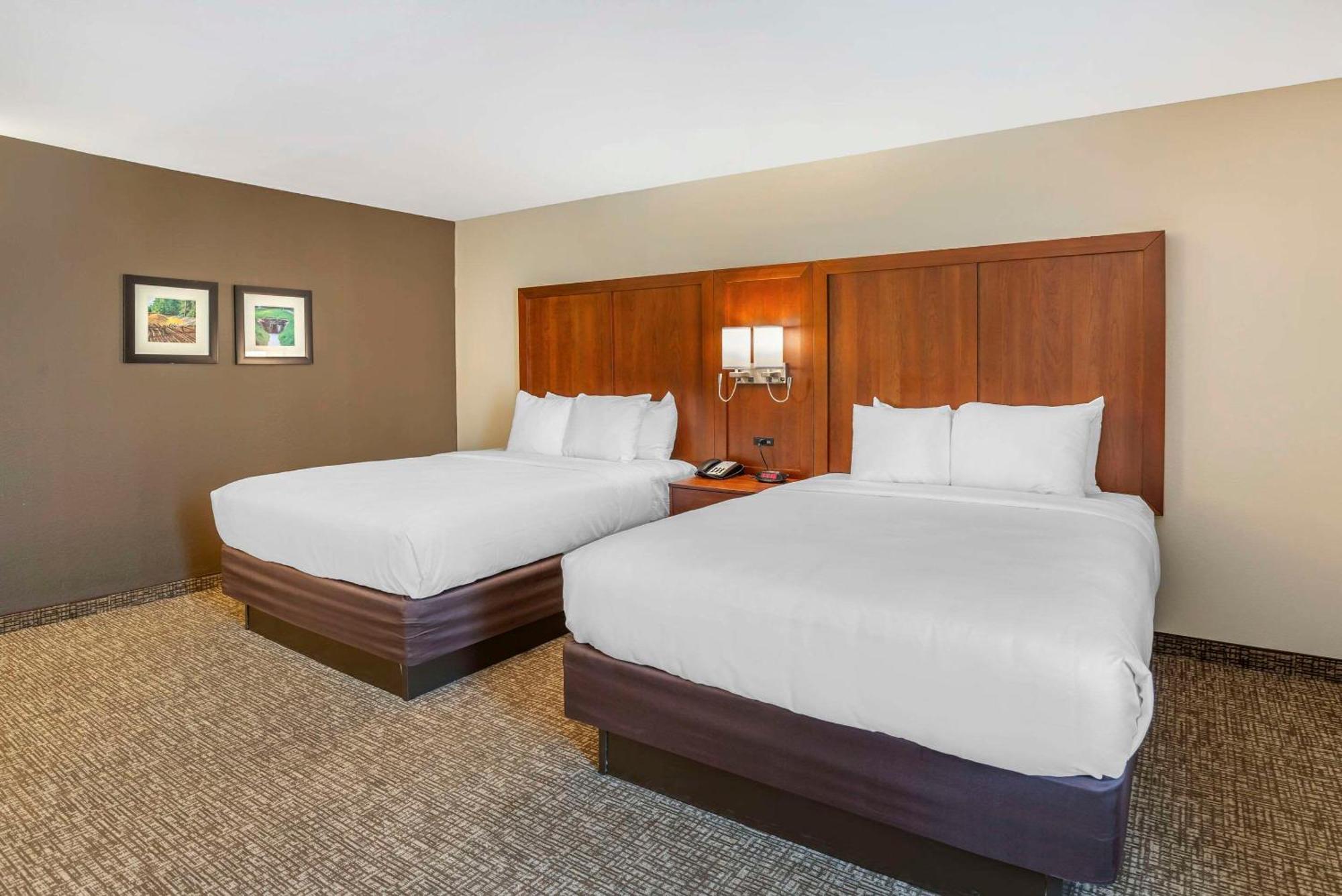 Comfort Inn Petersburg Near Fort Gregg-Adams מראה חיצוני תמונה