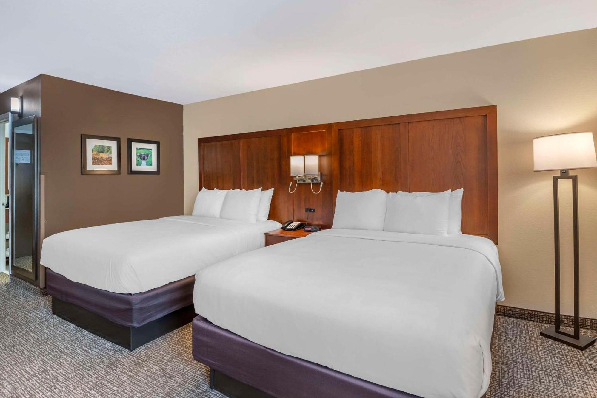 Comfort Inn Petersburg Near Fort Gregg-Adams מראה חיצוני תמונה