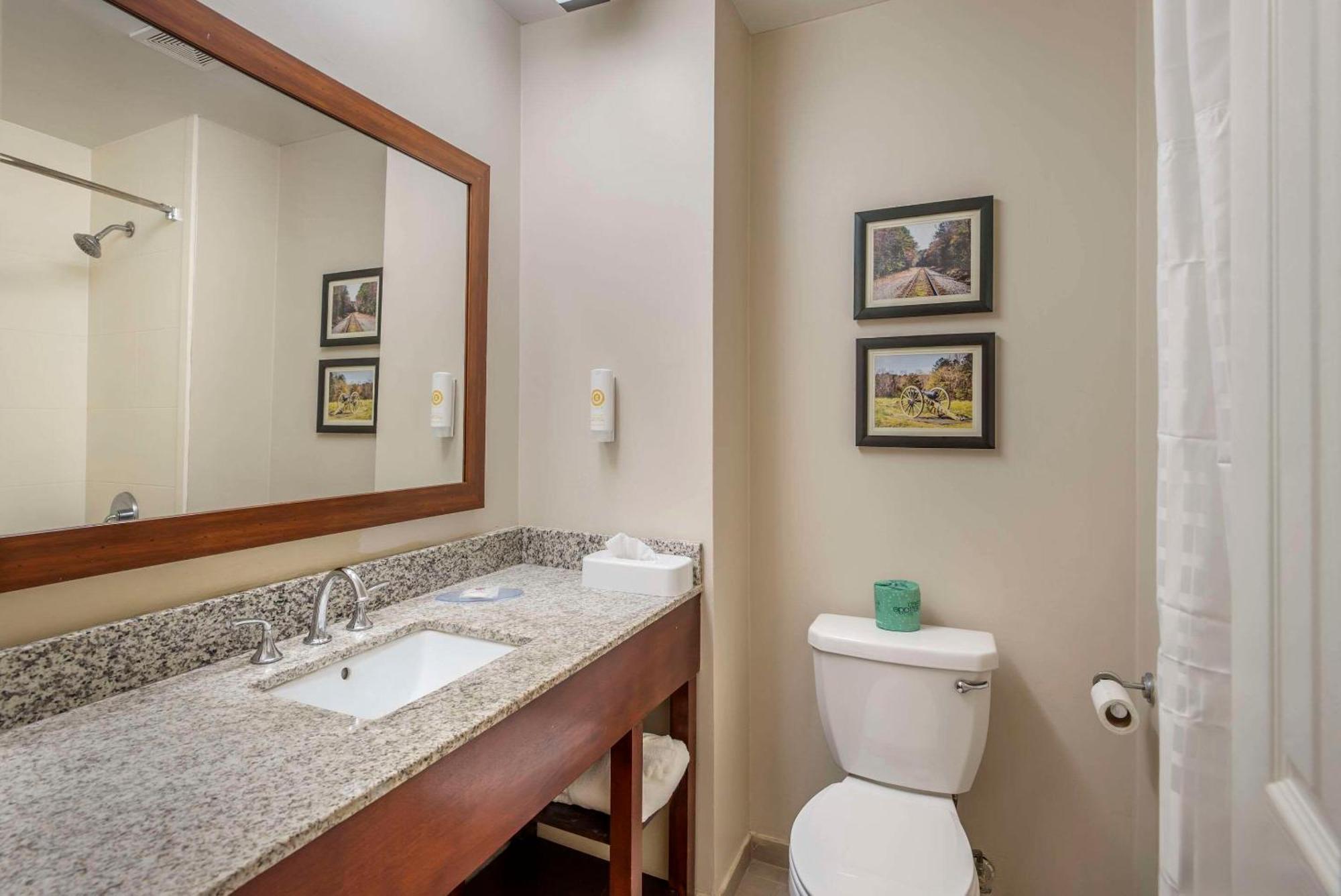 Comfort Inn Petersburg Near Fort Gregg-Adams מראה חיצוני תמונה
