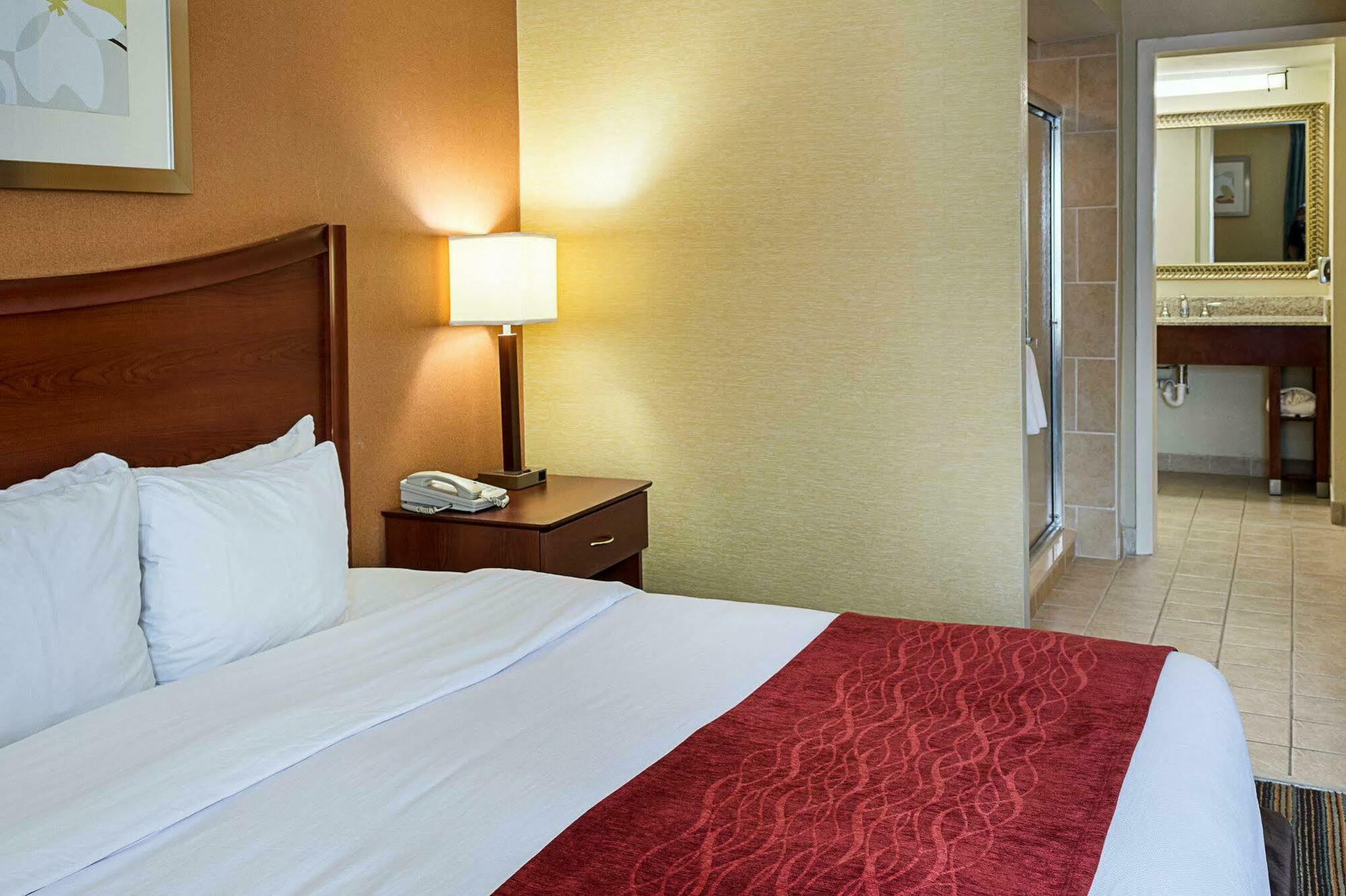 Comfort Inn Petersburg Near Fort Gregg-Adams מראה חיצוני תמונה